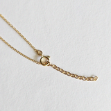 Side view of spring ring clasp and extension chain