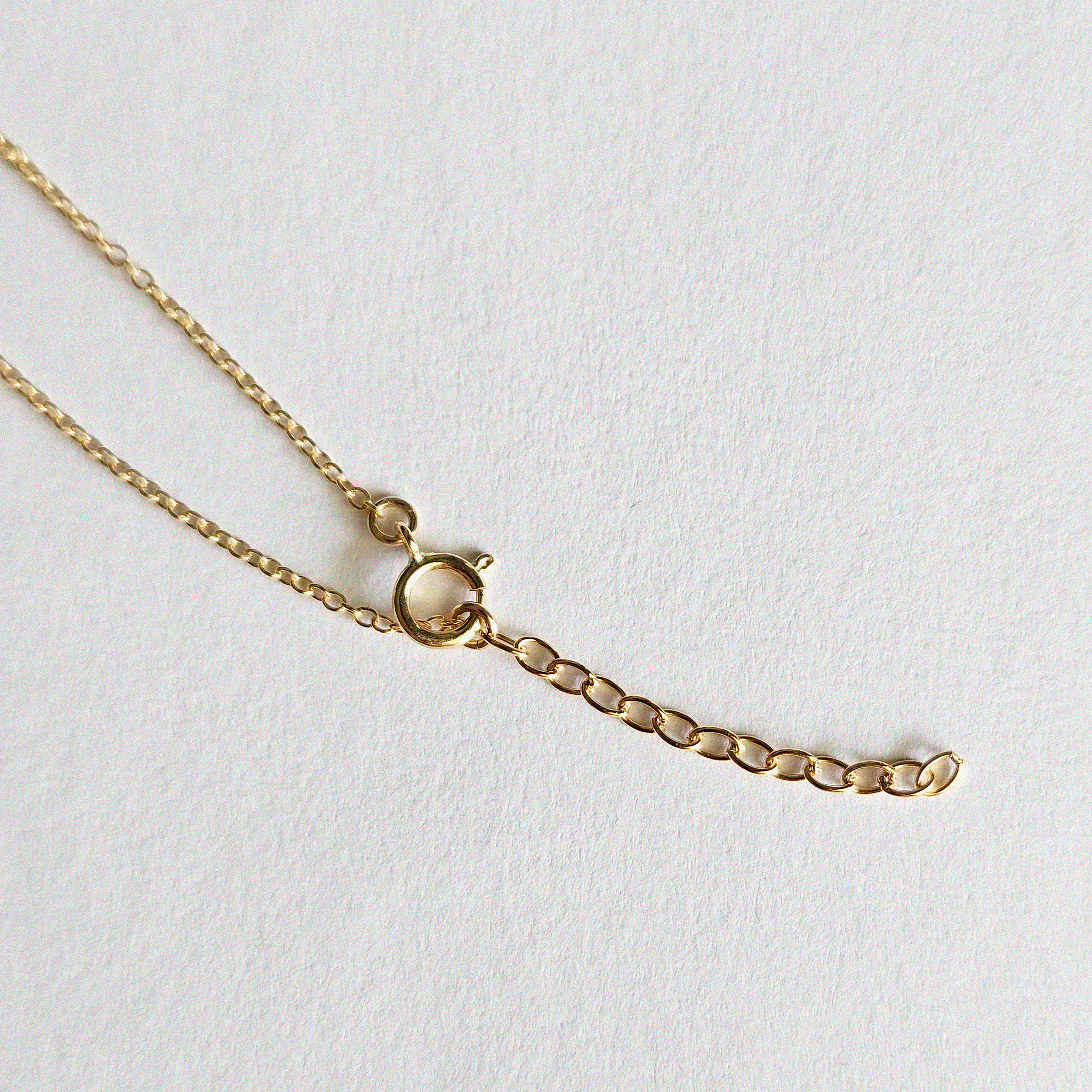 Side view of spring ring clasp and extension chain