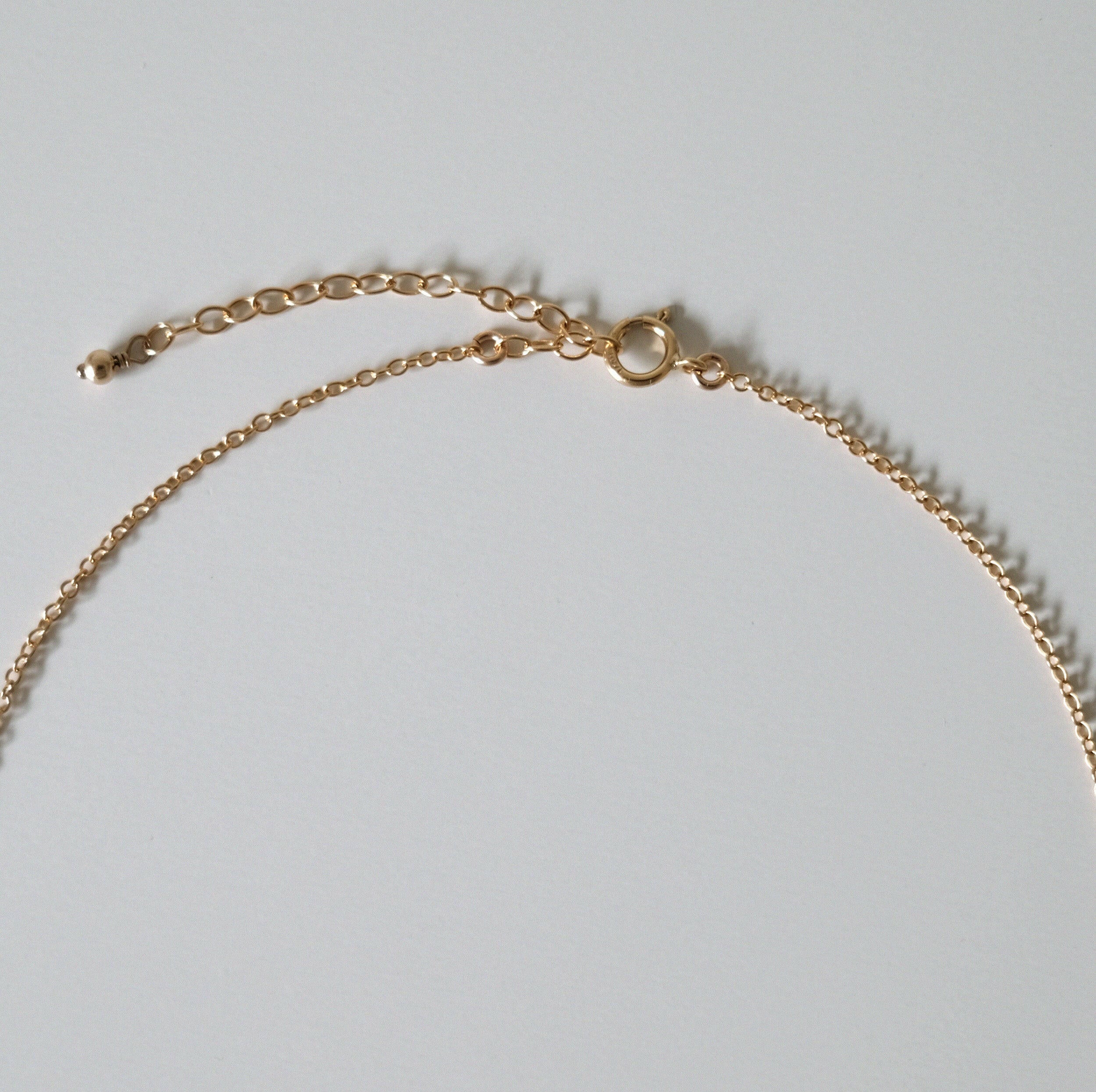 Spring ring clasp detail and extension chain