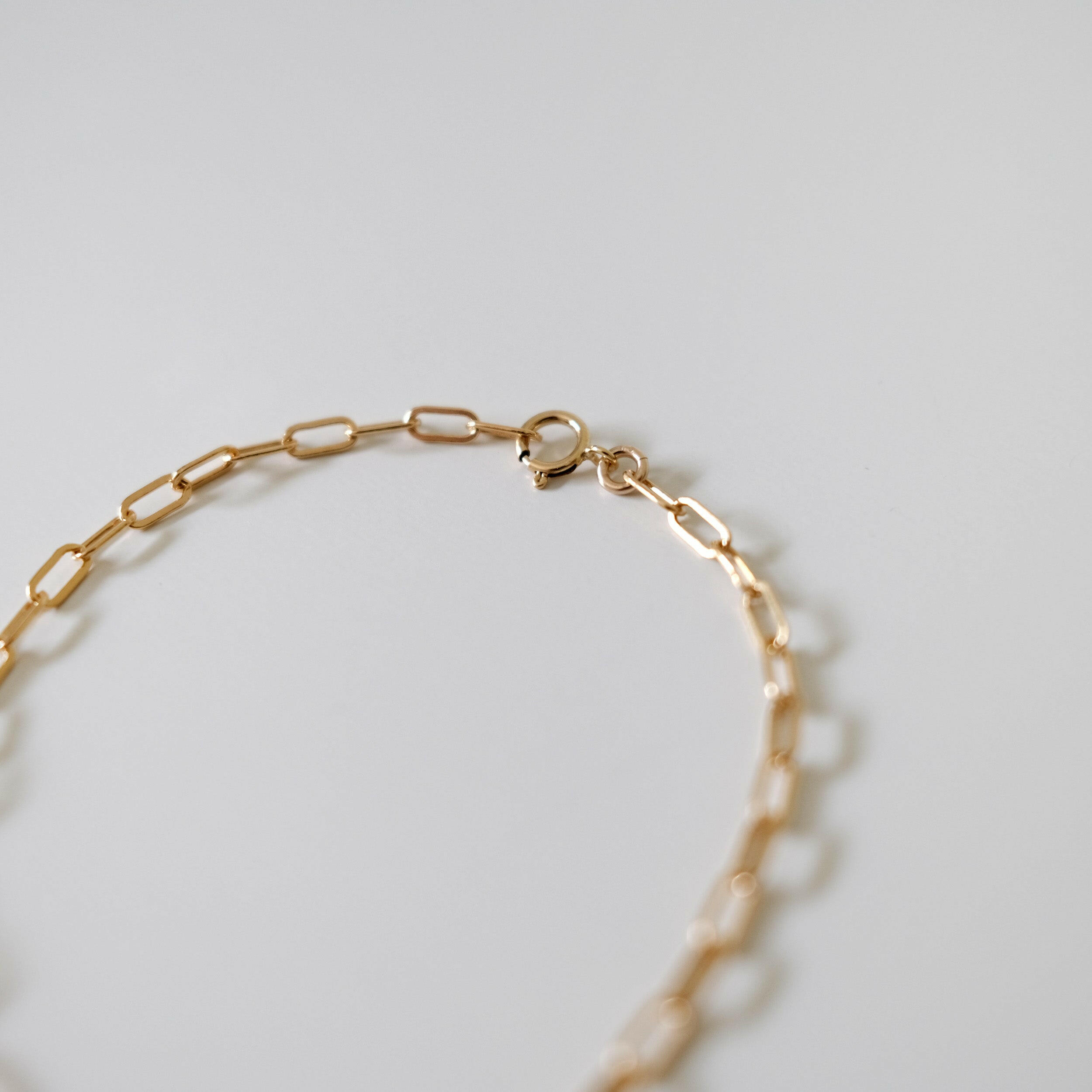 Detailed image of spring ring clasp and adjustable link area on bracelet
