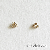 Flower Field 14K Solid Gold Earrings