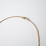 Lobster clasp and chain connection close-up