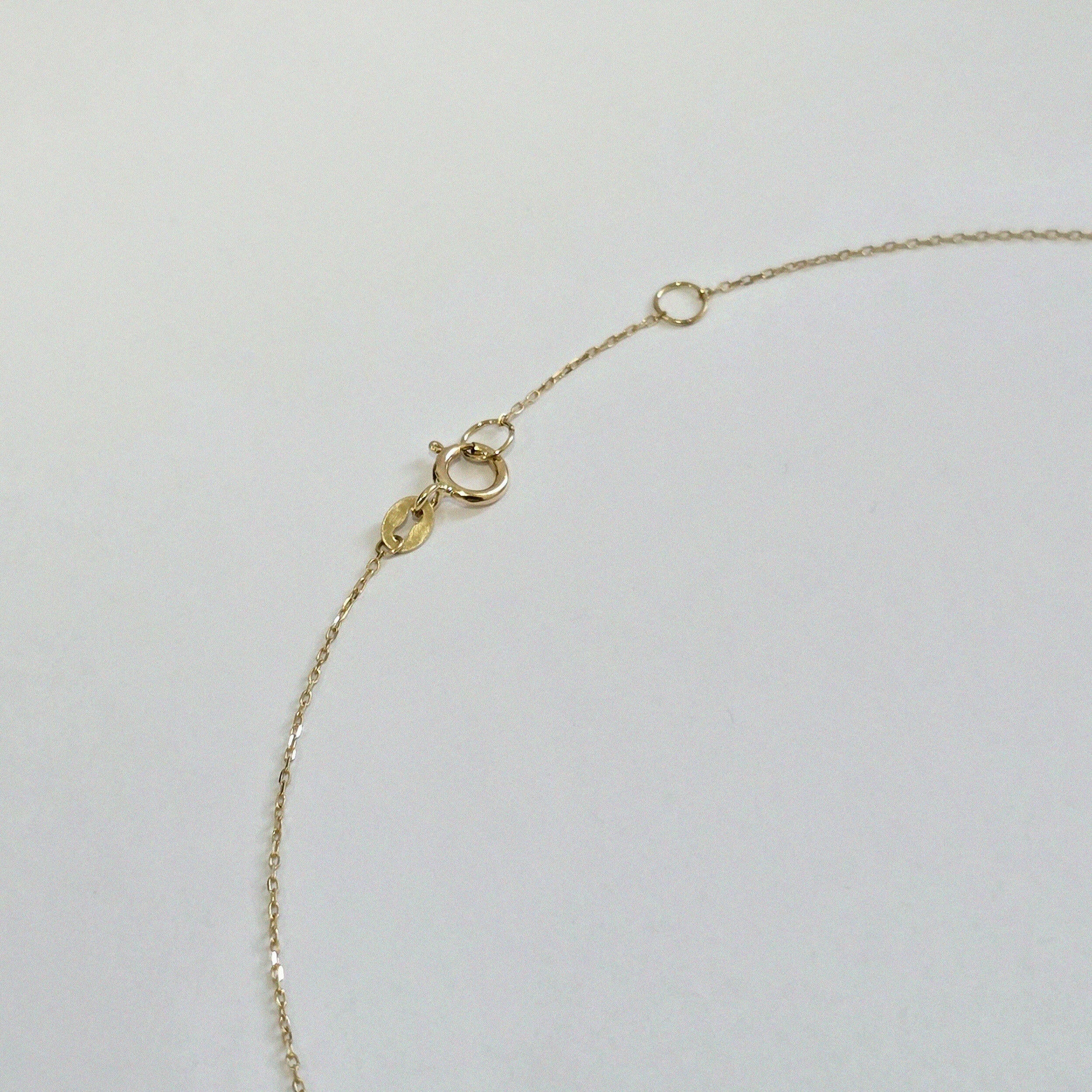 Close-up of spring ring clasp and extension links of 14K gold chain