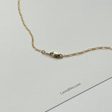 Lobster clasp and chain detail with soft reflection