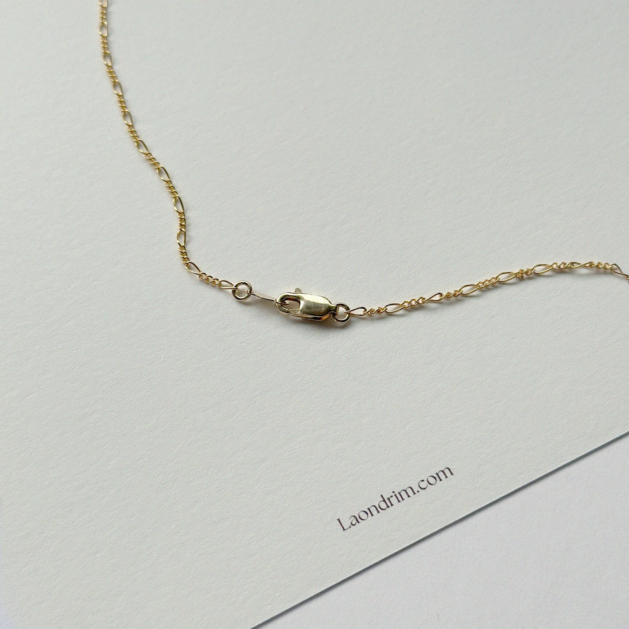 Lobster clasp and chain detail with soft reflection