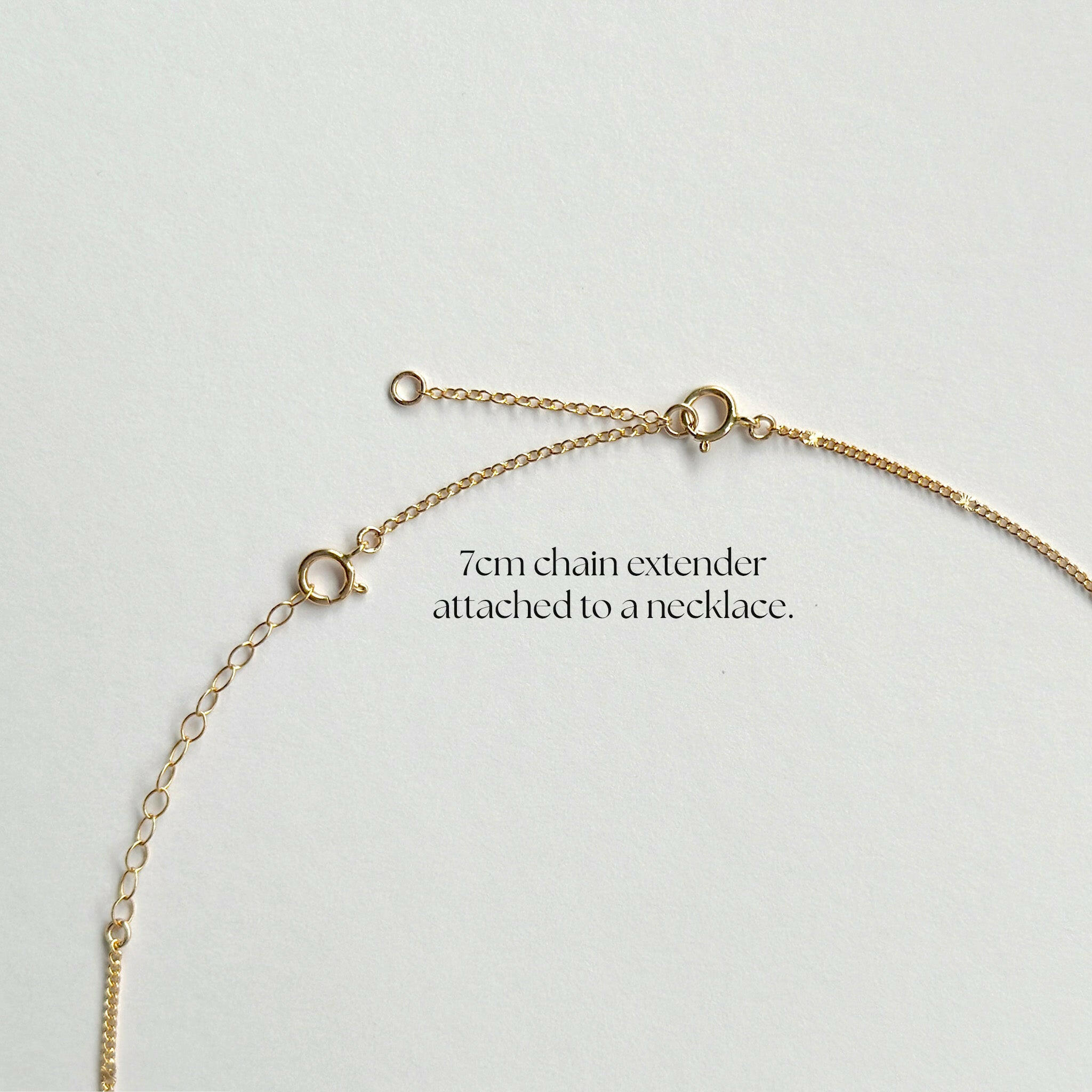 Side view of chain segment and ring attachment for clarity