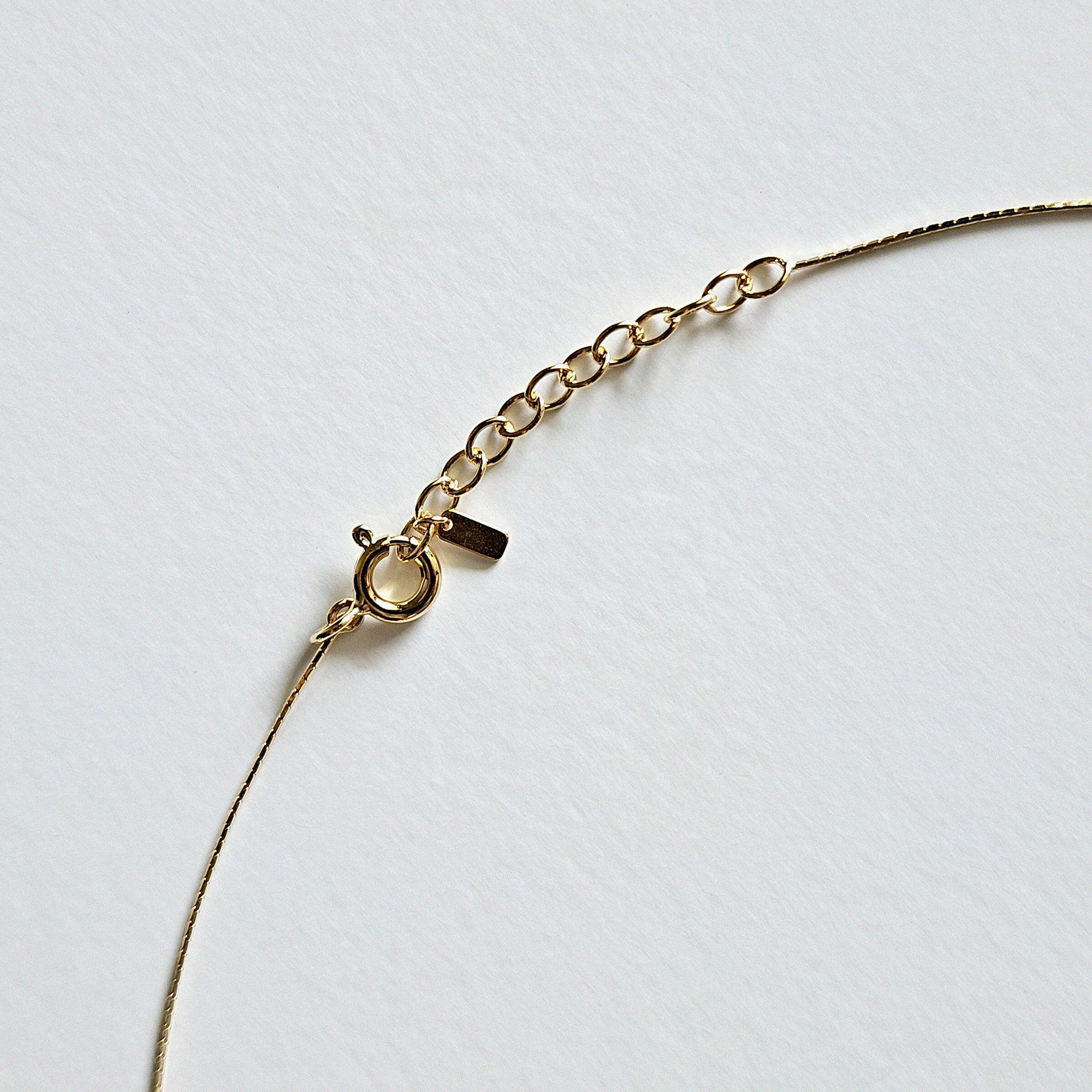 Close-up of the necklace clasp and extension chain showing polished finish and fine link structure