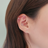 14K Florina Earrings