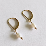 Syros Gold Filled Earrings
