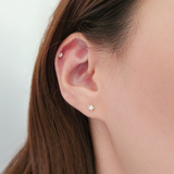 14K White Tiny Star Studs
