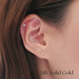 14K BonBon Earrings