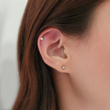 14K Amore Mio Earrings