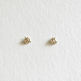 Flower Field 14K Solid Gold Earrings