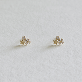 14K Florina Earrings