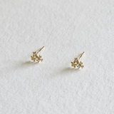 14K Florina Earrings