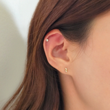 14K Serres Earrings