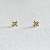 Lumiere 14K Solid Gold Earrings