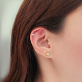 14K Lumiere Earrings