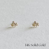 14K Florina Earrings