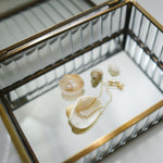 Jewelry box with a small pearl bracelet and seashells on a reflective surface