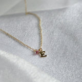 Gold Filled 'E' letter charm paring with birthstone necklace 