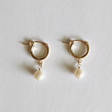 Top-down image of Perla Flex Hoops arranged on a soft-toned jewelry tray