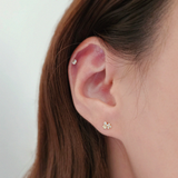 14K Florina Earrings
