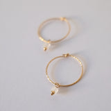Gold Filled Lei Moonstone Hoops